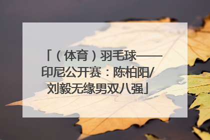 （体育）羽毛球——印尼公开赛：陈柏阳/刘毅无缘男双八强