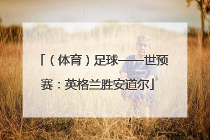 （体育）足球——世预赛：英格兰胜安道尔