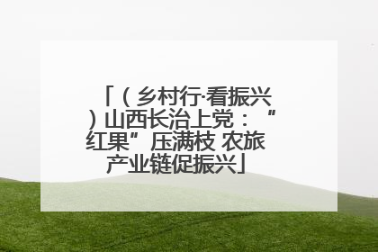 （乡村行·看振兴）山西长治上党：“红果”压满枝 农旅产业链促振兴
