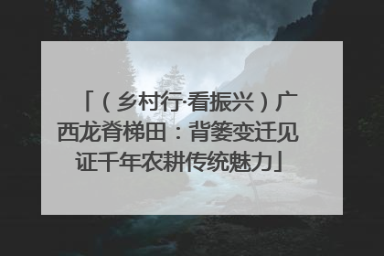 （乡村行·看振兴）广西龙脊梯田：背篓变迁见证千年农耕传统魅力