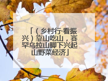 （乡村行·看振兴）靠山吃山，赛罕乌拉山脚下兴起山野菜经济