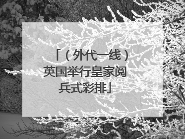 （外代一线）英国举行皇家阅兵式彩排