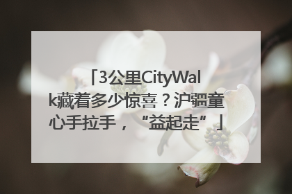 3公里CityWalk藏着多少惊喜？沪疆童心手拉手，“益起走”