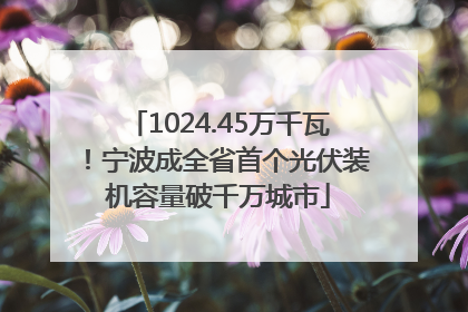 1024.45万千瓦！宁波成全省首个光伏装机容量破千万城市