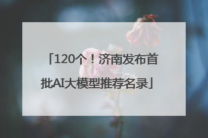 120个！济南发布首批AI大模型推荐名录