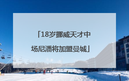 18岁挪威天才中场尼潘将加盟曼城