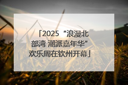 2025“浪漫北部湾 潮派嘉年华”欢乐周在钦州开幕