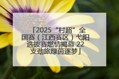 2025“村超”全国赛（江西赛区）弋阳选拔赛燃情揭幕 22支劲旅绿茵逐梦