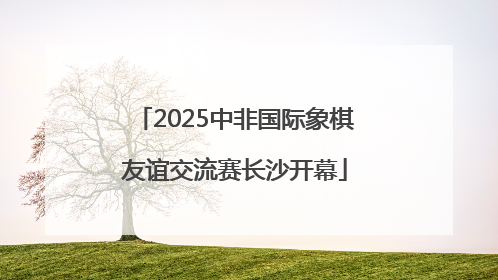 2025中非国际象棋友谊交流赛长沙开幕