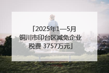 2025年1—5月铜川市印台区减免企业税费 3757万元