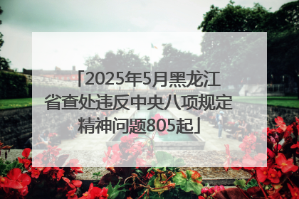 2025年5月黑龙江省查处违反中央八项规定精神问题805起