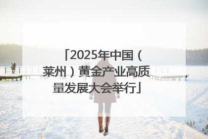 2025年中国（莱州）黄金产业高质量发展大会举行