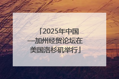 2025年中国—加州经贸论坛在美国洛杉矶举行