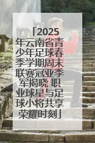 2025年云南省青少年足球春季学期周末联赛冠亚季军揭晓 职业球星与足球小将共享荣耀时刻