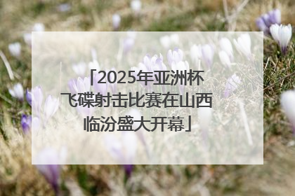 2025年亚洲杯飞碟射击比赛在山西临汾盛大开幕