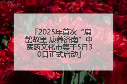 2025年首次“扁鹊故里 康养济南”中医药文化市集于5月30日正式启动