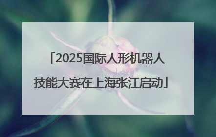 2025国际人形机器人技能大赛在上海张江启动