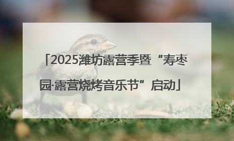 2025潍坊露营季暨“寿枣园·露营烧烤音乐节”启动