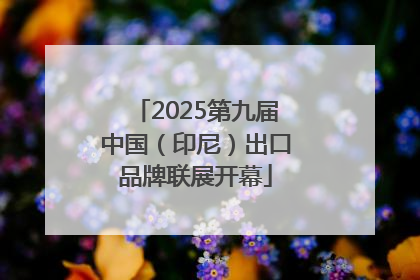 2025第九届中国（印尼）出口品牌联展开幕