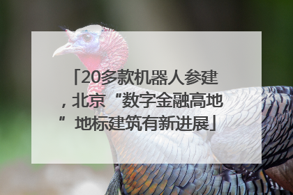 20多款机器人参建，北京“数字金融高地”地标建筑有新进展