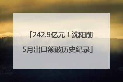 242.9亿元！沈阳前5月出口额破历史纪录