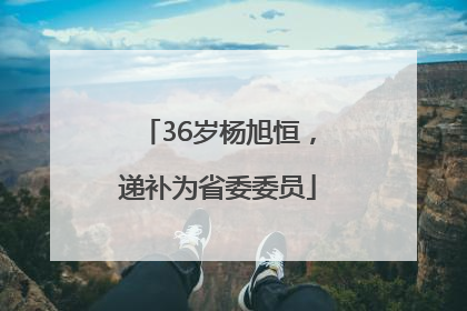 36岁杨旭恒，递补为省委委员