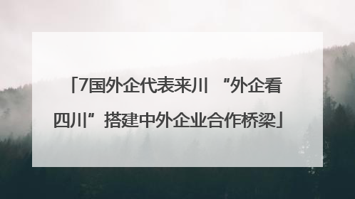 7国外企代表来川 “外企看四川”搭建中外企业合作桥梁