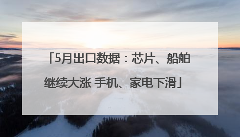 5月出口数据：芯片、船舶继续大涨 手机、家电下滑