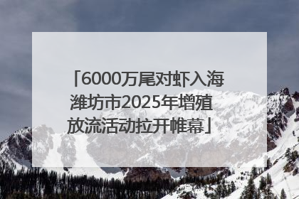 6000万尾对虾入海 潍坊市2025年增殖放流活动拉开帷幕