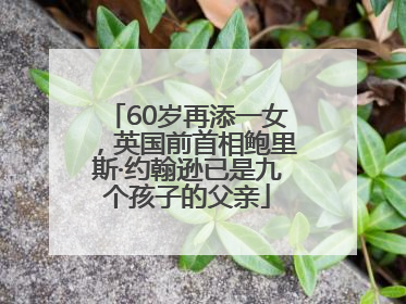 60岁再添一女，英国前首相鲍里斯·约翰逊已是九个孩子的父亲