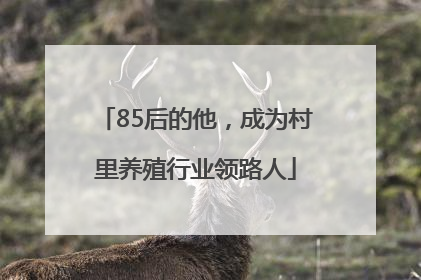 85后的他，成为村里养殖行业领路人