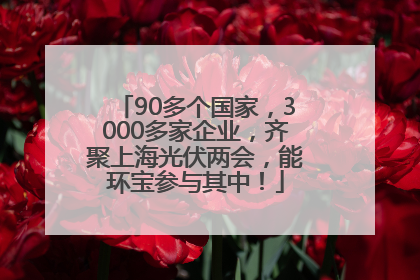 90多个国家，3000多家企业，齐聚上海光伏两会，能环宝参与其中！