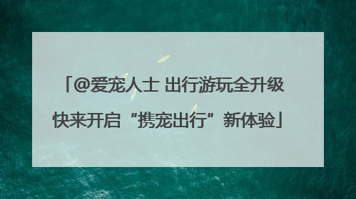 @爱宠人士 出行游玩全升级 快来开启“携宠出行”新体验