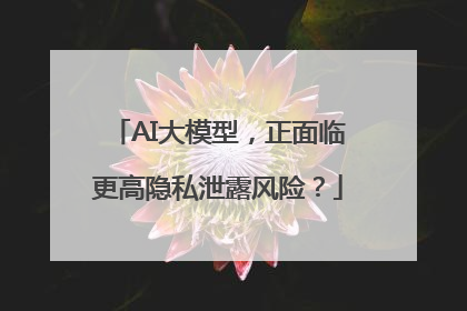 AI大模型，正面临更高隐私泄露风险？