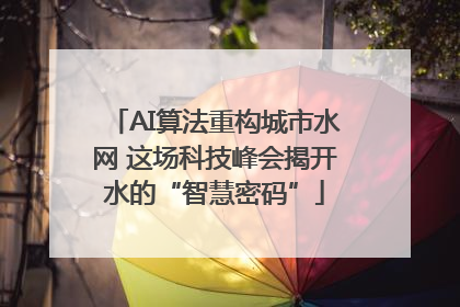 AI算法重构城市水网 这场科技峰会揭开水的“智慧密码”