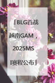 BLG首战越南GAM，2025MSI赛程公布