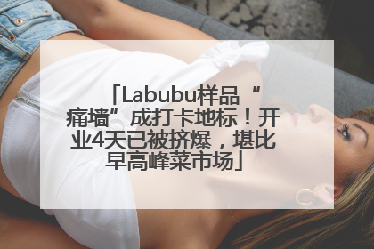 Labubu样品“痛墙”成打卡地标！开业4天已被挤爆，堪比早高峰菜市场