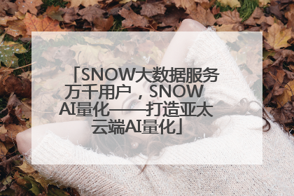 SNOW大数据服务万千用户，SNOW AI量化——打造亚太云端AI量化